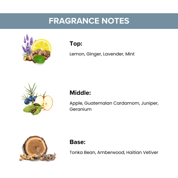 Holiday Vibe Body Mist - Image 3